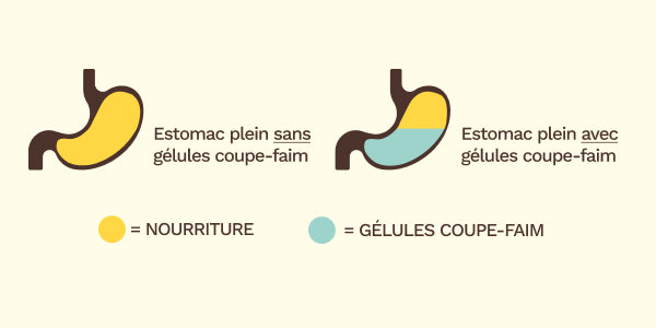 Avec et sans gélules coupe-faim BEAVITA